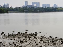 -海珠湖公园