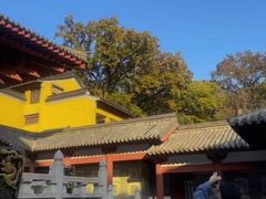 -灵谷景区