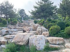 -莫子山公园
