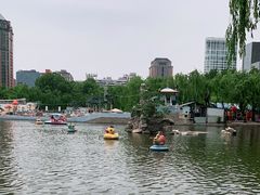 -团结湖公园