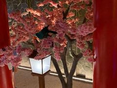 -蓝鲸湾汤泉(包河店)