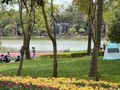 -上海鲜花港