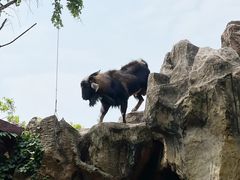 -长鹿旅游休博园