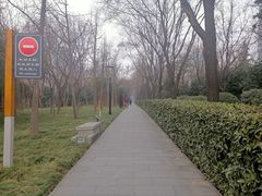 -唐城墙遗址公园