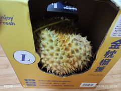 -山姆会员商店(上海浦东店)