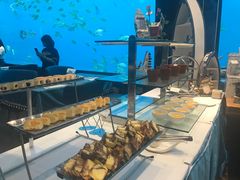 -瑞德姆美人鱼海底演艺主题餐厅(亚龙湾店)