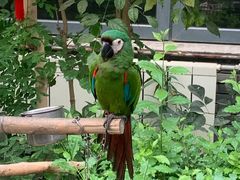 -南宫五洲植物乐园