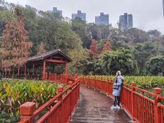 -重庆彩云湖湿地公园