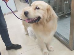 -宠福鑫康馨动物医院·骨科·眼科