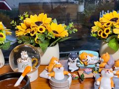 -柴犬高等学院·狗咖·柴犬售卖·宠物训练