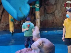 -烟台海昌鲸鲨海洋公园