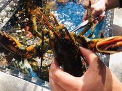 -盒马鲜生(莱蒙都会店)