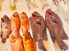 -聚福宝合苑食府(南头镇店)