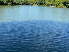 -南国桃园旅游度假区