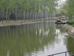 -合肥滨湖国家森林公园
