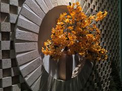 -Dragonfly 悠庭·按摩Spa(苏州中心广场店)