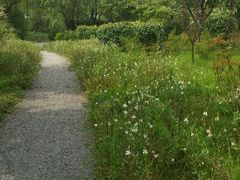 android_upload_pic-新江湾城公园