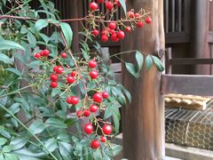 -上野公园花园稻荷神社(忍岡稲荷神社)