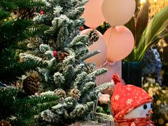 -狮拾久·现代新加坡料理(福田COCO Park店)