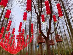 -东平国家森林公园