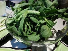 -一叶一世界·素食餐厅(锦华万达店)