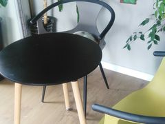 -东方名猫馆·英短金渐层布偶猫舍(环线广场1号楼店)