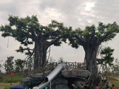 -九龙湖公园