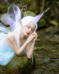 -盘子女人坊生日照·摄影馆(浦东店)