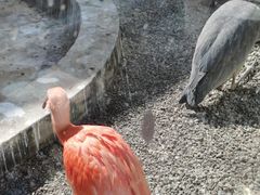 -青藏高原野生动物园