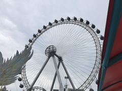 -海合安武汉极地海洋公园
