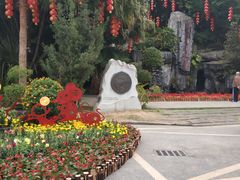 -广州市流溪河国家森林公园