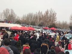 -秦始皇兵马俑博物馆-停车场