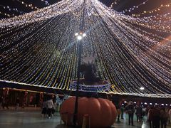 -广州长隆国际大马戏