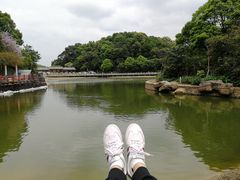-广州市帽峰山景区