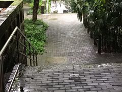 -西南大学北碚校区-竹园学生食堂