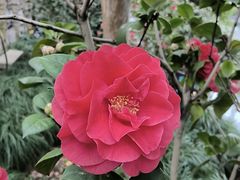 -Yee3·三号椰(上海中山公园龙之梦店)