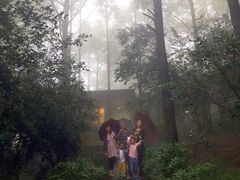 -达蓬山旅游度假区