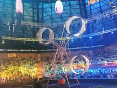 -俄罗斯国家大马戏团