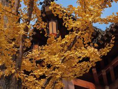 -香积寺