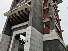 -王借岗森林公园