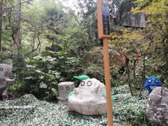 -大围山国家森林公园