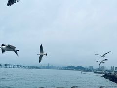 -星海广场