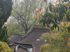 -兴福禅寺