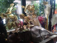 -咖法森林·咖啡  酒吧(天河店)