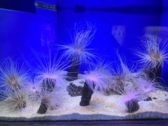 -上海海洋水族馆