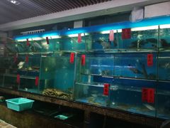 -海大大蒸汽海鲜餐厅·粤菜·特色小炒(欢乐颂店)