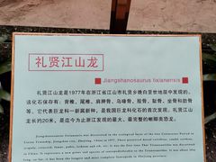 -衢州市博物馆
