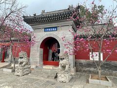 -红螺寺