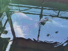 -蓝湾碧波·老字号·疍家非遗海上餐厅
