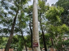 -广州市干部健康管理中心